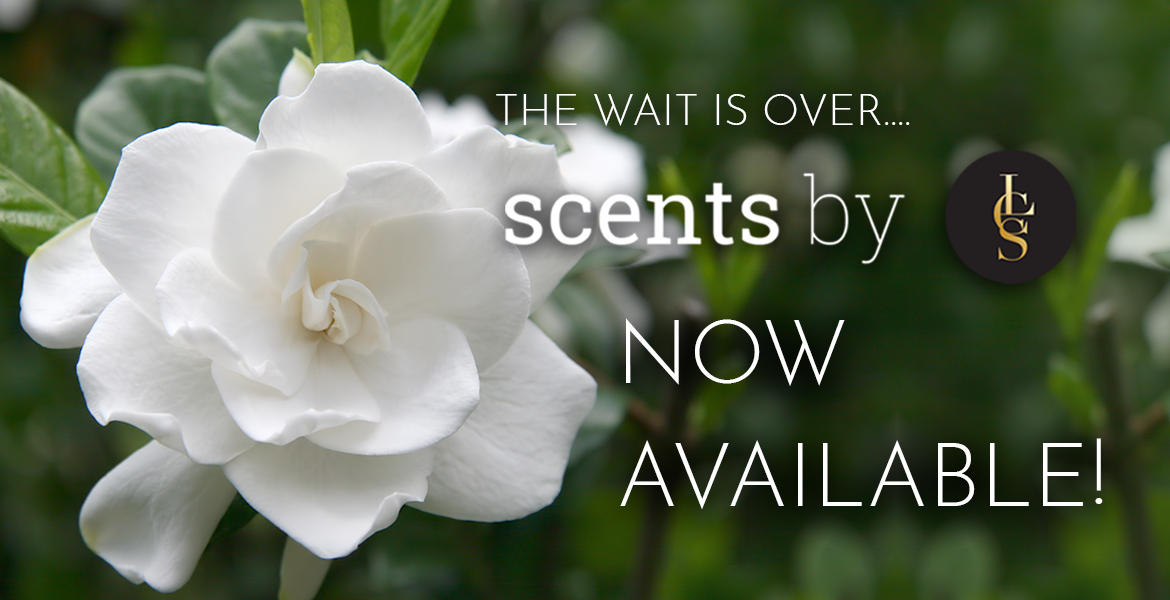 Candle Supplies Wholesaler Luxury Candle Supplies LCS